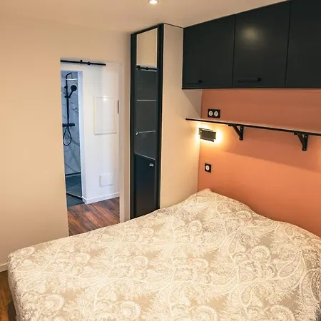 公寓 Climatise, Plein Centre, Garage 圣马克西姆