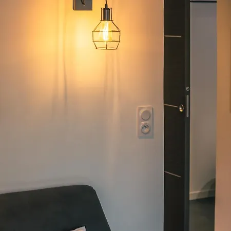 公寓 Climatise, Plein Centre, Garage 圣马克西姆